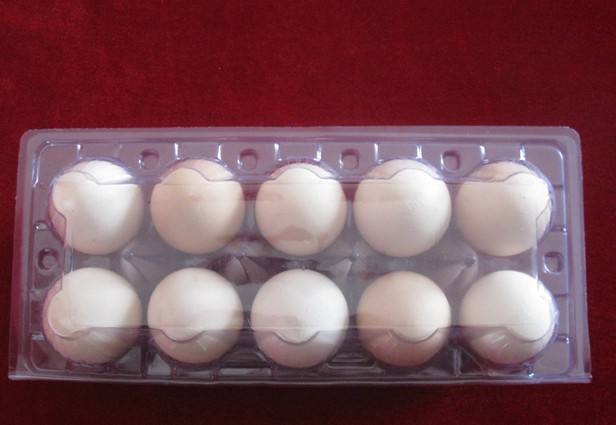 雞蛋吸塑托盤-雞蛋吸塑包裝
